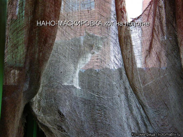 Котоматрица: НАНО-МАСКИРОВКА кот на полотне