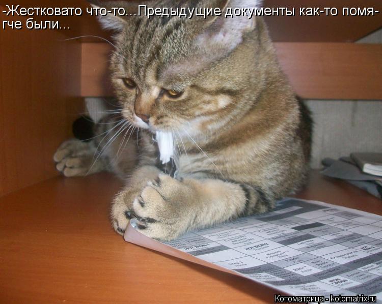 Котоматрица: -Жестковато что-то...Предыдущие документы как-то помя- гче были...