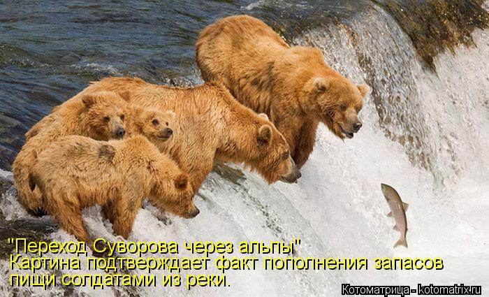 Котоматрица: "Переход Суворова через альпы" Картина подтверждает факт пополнения запасов пищи солдатами из реки.