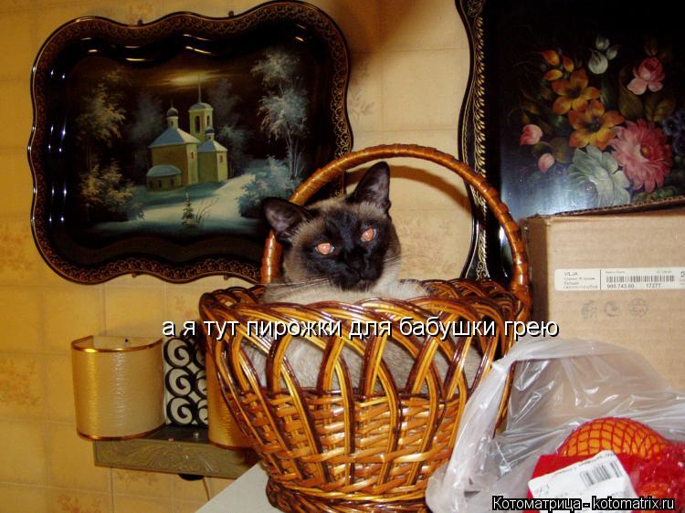 Котоматрица: а я тут пирожки для бабушки грею