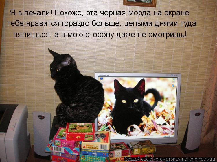 Я в печали! Похоже, эта черная морда на экране тебе нравится гораздо больше: целыми днями туда пялишь... Котоматрица: Я в печали! Похоже, эта черная морда на экране тебе нравится гораздо больше: целыми днями туда пялишься, а в мою сторону даже не смотришь!