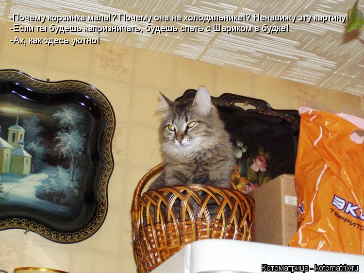 Котоматрица: -Почему корзинка мала!? Почему она на холодильнике!? Ненавижу эту картину! -Если ты будешь капризничать, будешь спать с Шариком в будке! -Ах, к