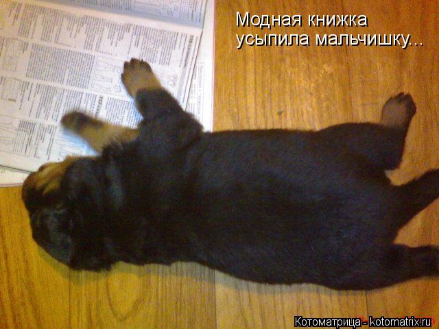 Котоматрица: Модная книжка усыпила мальчишку...