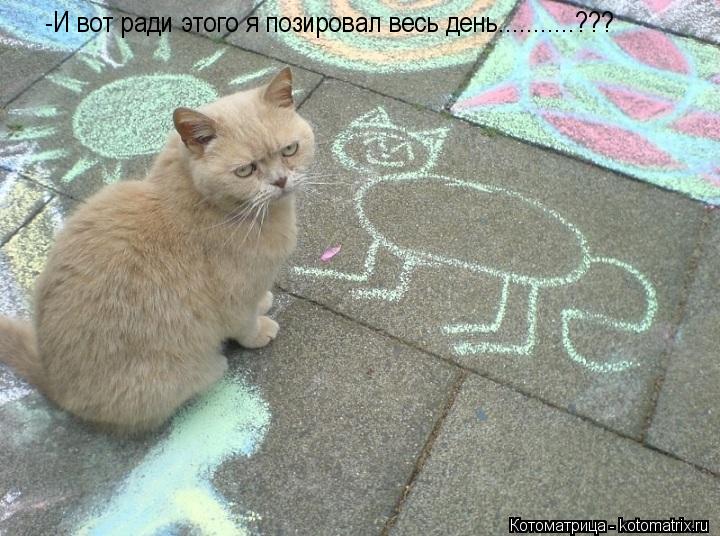 -И вот ради этого я позировал весь день...........???... Котоматрица: -И вот ради этого я позировал весь день...........???
