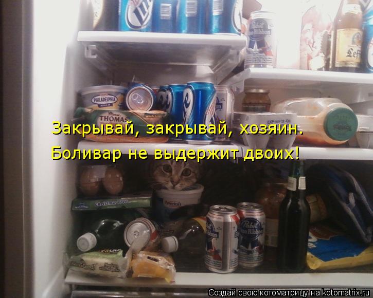 Котоматрица: Закрывай, закрывай, хозяин. Боливар не выдержит двоих!