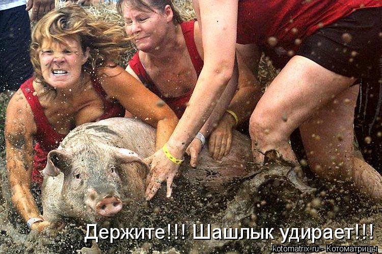 Котоматрица: Держите!!! Шашлык удирает!!!