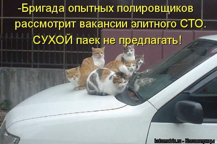 -Бригада опытных полировщиков рассмотрит вакансии элитного СТО. СУХОЙ паек не предлагать!... Котоматрица: -Бригада опытных полировщиков рассмотрит вакансии элитного СТО. СУХОЙ паек не предлагать!