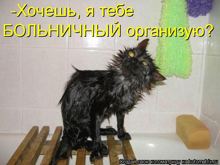-Хочешь, я тебе БОЛЬНИЧНЫЙ организую?... Котоматрица: -Хочешь, я тебе БОЛЬНИЧНЫЙ организую?
