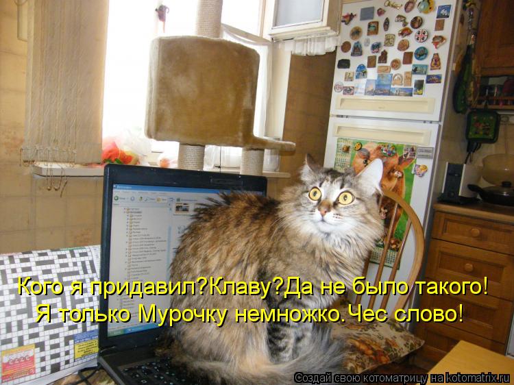 Кого я придавил?Клаву?Да не было такого! Я только Мурочку немножко.Чес слово!... Котоматрица: Кого я придавил?Клаву?Да не было такого! Я только Мурочку немножко.Чес слово!