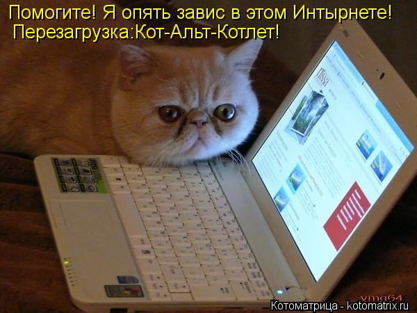 Котоматрица: Помогите! Я опять завис в этом Интырнете! Перезагрузка:Кот-Альт-Котлет!