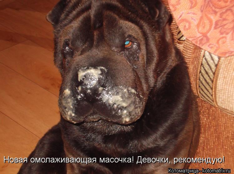 Новая омолаживающая масочка! Девочки, рекомендую!... Котоматрица: Новая омолаживающая масочка! Девочки, рекомендую!