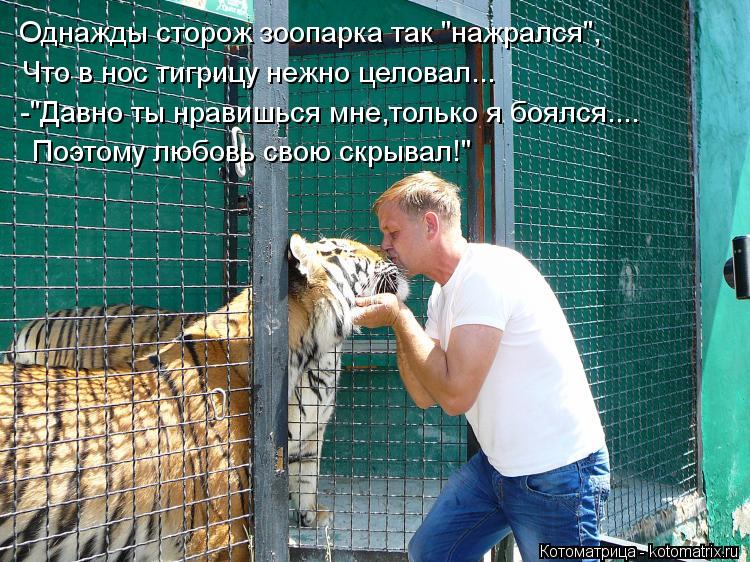 Что будет если нажраться на своей свадьбе Что будет если нажраться на своей свадьбе