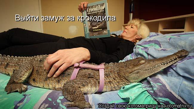 Котоматрица: Выйти замуж за крокодила