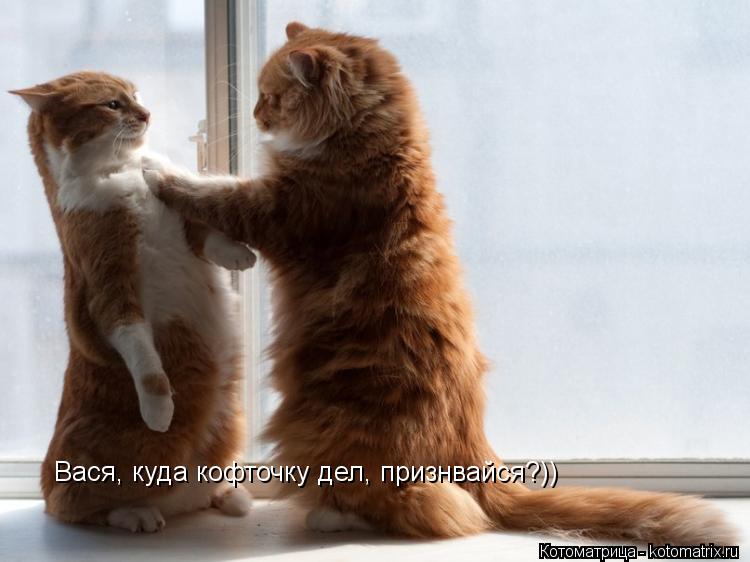 Котоматрица: Вася, куда кофточку дел, признвайся?))