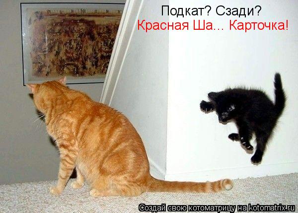 Подкат? Сзади? Красная Ша... Карточка!... Котоматрица: Подкат? Сзади? Красная Ша... Карточка!