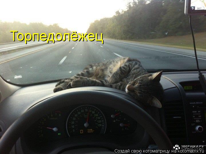 Котоматрица: Торпедолёжец