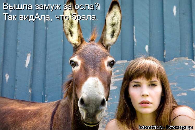 Котоматрица: Вышла замуж за осла? Так видАла, что брала.