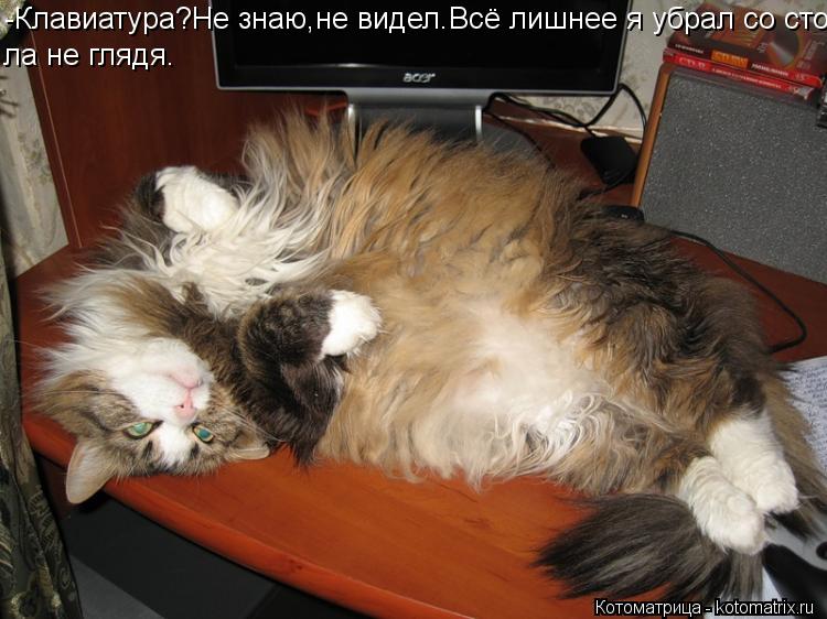 -Клавиатура?Не знаю,не видел.Всё лишнее я убрал со сто- ла не глядя.... Котоматрица: -Клавиатура?Не знаю,не видел.Всё лишнее я убрал со сто- ла не глядя.