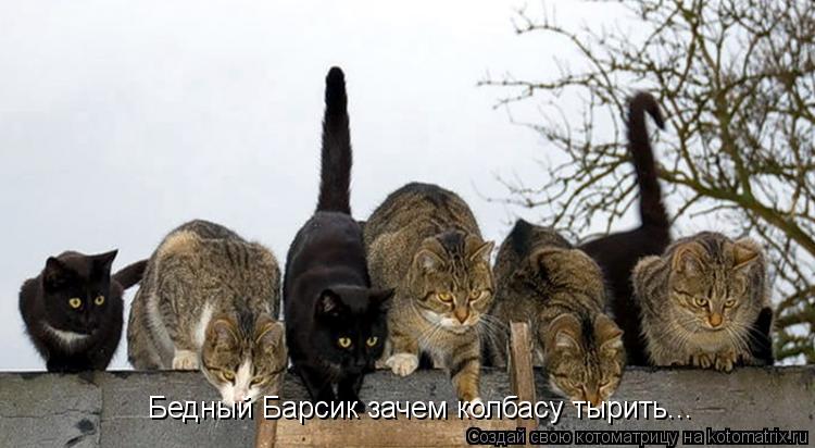 Котоматрица: Бедный Барсик зачем колбасу тырить...