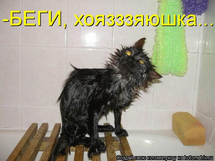 -БЕГИ, хоязззяюшка...... Котоматрица: -БЕГИ, хоязззяюшка...