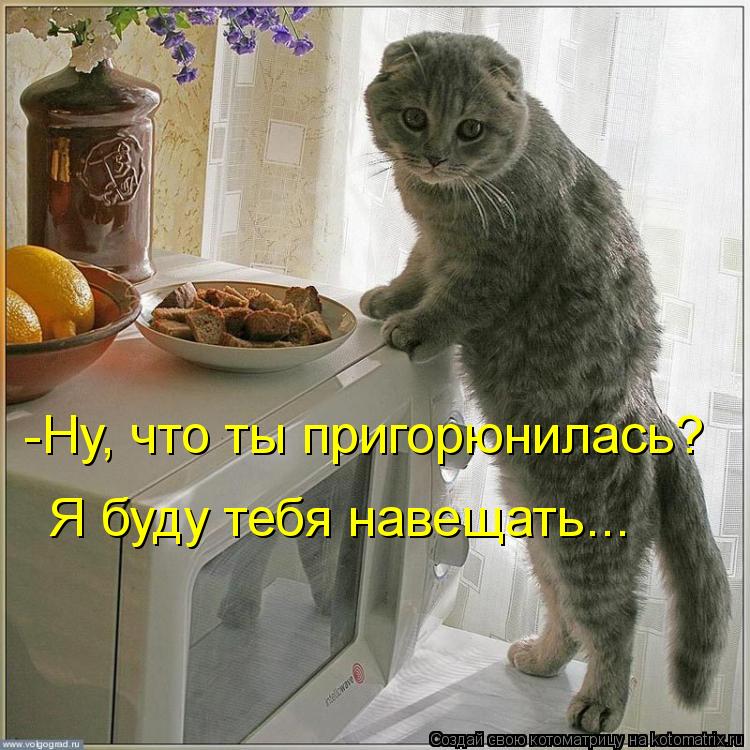 Котоматрица: -Ну, что ты пригорюнилась? Я буду тебя навещать...