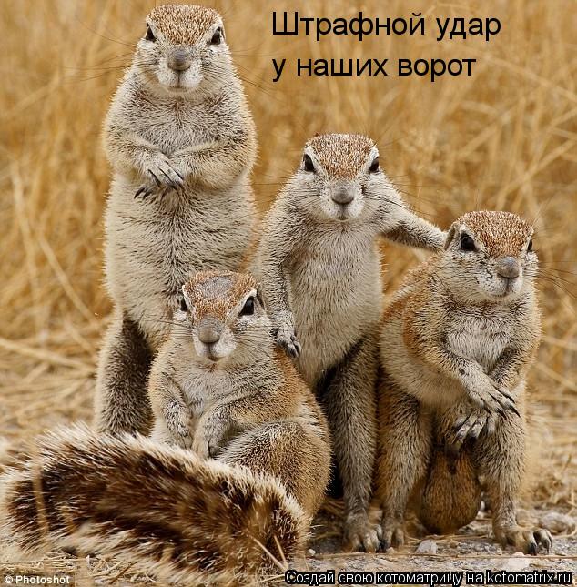 Котоматрица: Штрафной удар  у наших ворот