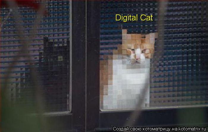 Digital Cat... Котоматрица: Digital Cat