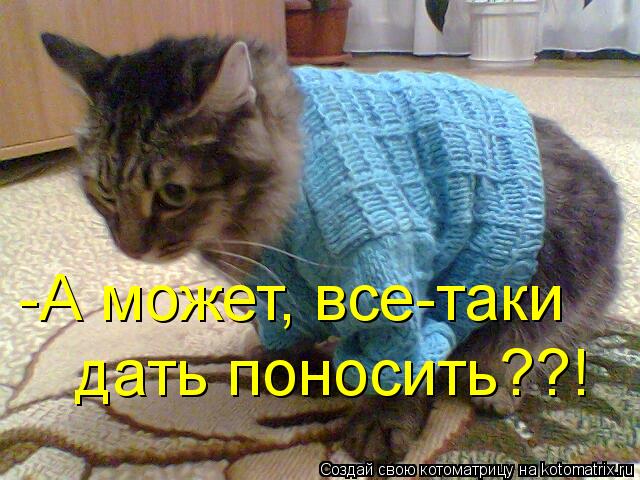 -А может, все-таки дать поносить??!... Котоматрица: -А может, все-таки дать поносить??!