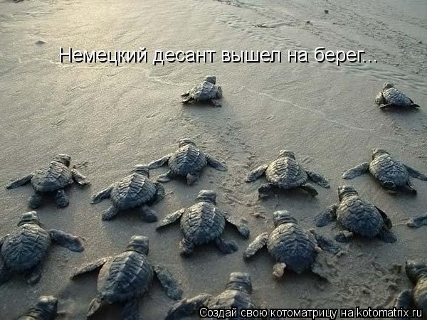 Немецкий десант вышел на берег...... Котоматрица: Немецкий десант вышел на берег...