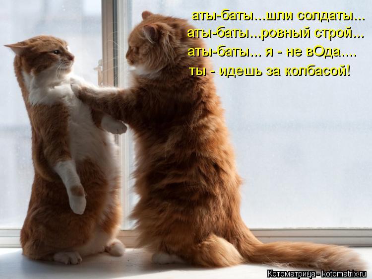 аты-баты...шли солдаты... аты-баты...ровный строй... аты-баты... я - не вОда.... ты - идешь за колбас... Котоматрица: аты-баты...шли солдаты... аты-баты...ровный строй... аты-баты... я - не вОда.... ты - идешь за колбасой!