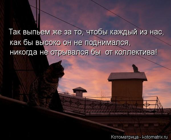 Котоматрица: Так выпьем же за то, чтобы каждый из нас,  как бы высоко он не поднимался, никогда не отрывался бы  от коллектива!
