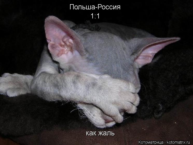 Польша-Россия 1:1 как жаль... Котоматрица: Польша-Россия 1:1 как жаль