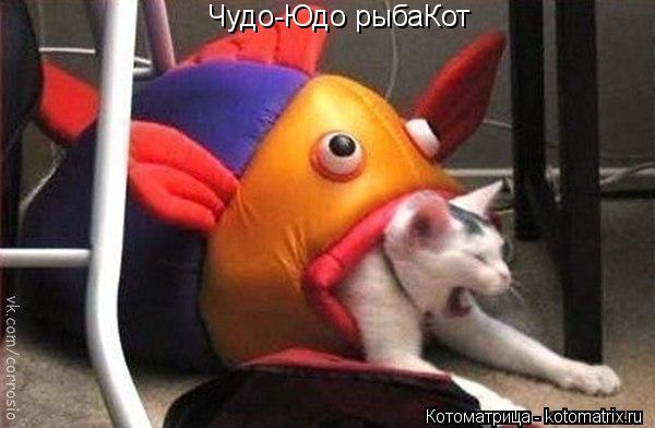 Котоматрица: Чудо-Юдо рыбаКот