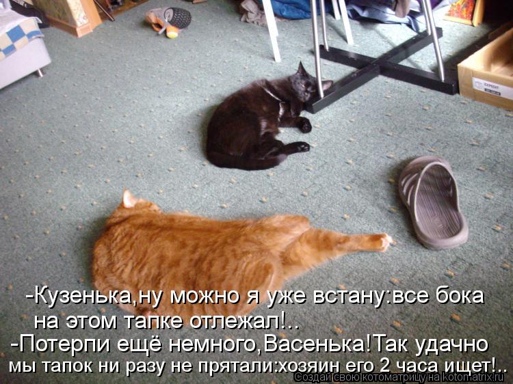 Котоматрица: -Кузенька,ну можно я уже встану:все бока на этом тапке отлежал!.. -Потерпи ещё немного,Васенька!Так удачно мы тапок ни разу не прятали:хозяин 