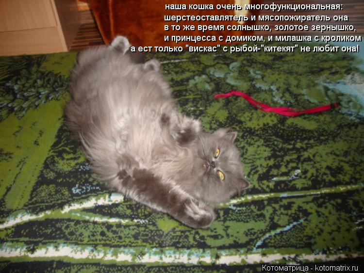 наша кошка очень многофункциональная: шерстеоставлятель и мясопожиратель она в то же время солнышко, ... Котоматрица: наша кошка очень многофункциональная: шерстеоставлятель и мясопожиратель она в то же время солнышко, золотое зернышко, и принцесса с домик