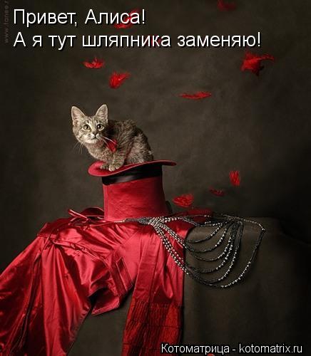 Котоматрица: Привет, Алиса!  А я тут шляпника заменяю!