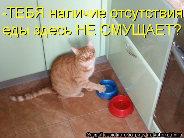 -ТЕБЯ наличие отсутствия еды здесь НЕ СМУЩАЕТ?... Котоматрица: -ТЕБЯ наличие отсутствия еды здесь НЕ СМУЩАЕТ?