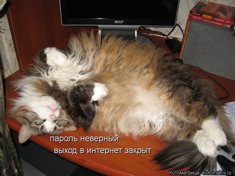 Котоматрица: пароль неверный  выход в интернет закрыт