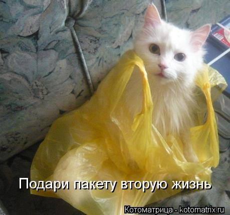 Подари пакету вторую жизнь... Котоматрица: Подари пакету вторую жизнь