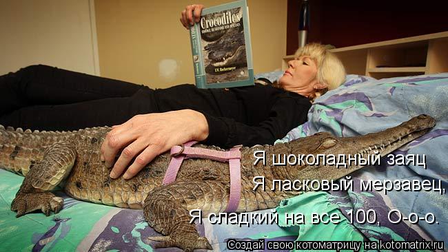 Котоматрица: Я шоколадный заяц Я ласковый мерзавец,  Я сладкий на все 100, О-о-о.