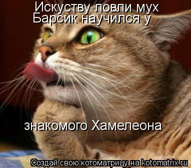 Котоматрица: Искуству ловли мух Барсик научился у  знакомого Хамелеона