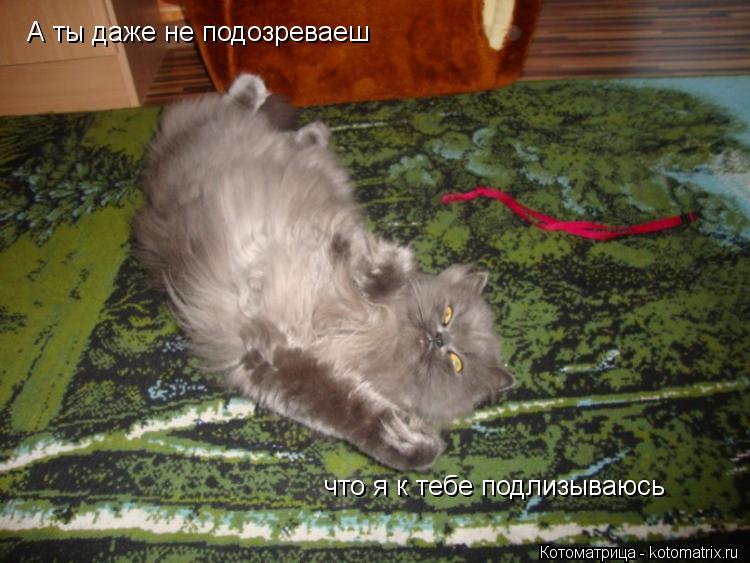 А ты даже не подозреваеш что я к тебе подлизываюсь... Котоматрица: А ты даже не подозреваеш что я к тебе подлизываюсь