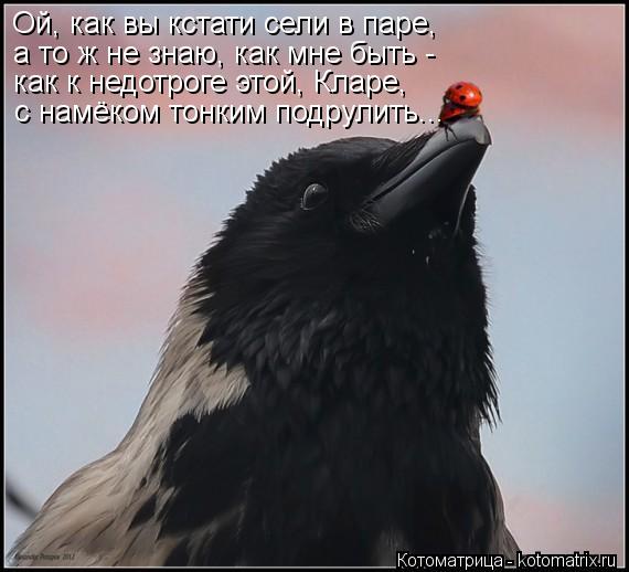 Ой, как вы кстати сели в паре, а то ж не знаю, как мне быть - как к недотроге этой, Кларе, с намёком ... Котоматрица: Ой, как вы кстати сели в паре, а то ж не знаю, как мне быть - как к недотроге этой, Кларе, с намёком тонким подрулить...
