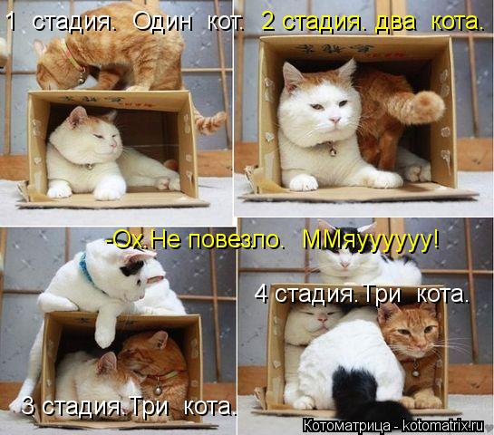 1 стадия. Один кот. 2 стадия. два кота. 3 стадия.Три кота. 4 стадия.Три кота. -Ох.Не повезло. ... Котоматрица: 1 стадия. Один кот. 2 стадия. два кота. 3 стадия.Три кота. 4 стадия.Три кота. -Ох.Не повезло. ММяуууууу!