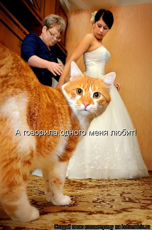 А говорила,одного меня любит!... Котоматрица: А говорила,одного меня любит!