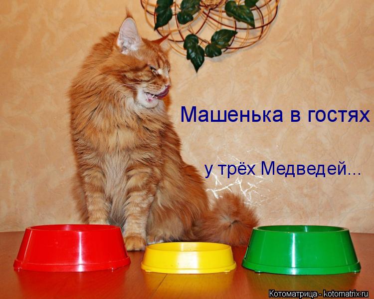 у трёх Медведей... Машенька в гостях... Котоматрица: у трёх Медведей... Машенька в гостях