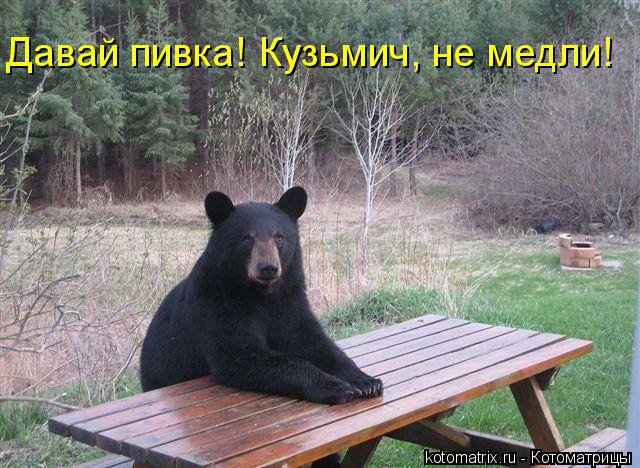 Котоматрица: Давай пивка! Кузьмич, не медли!