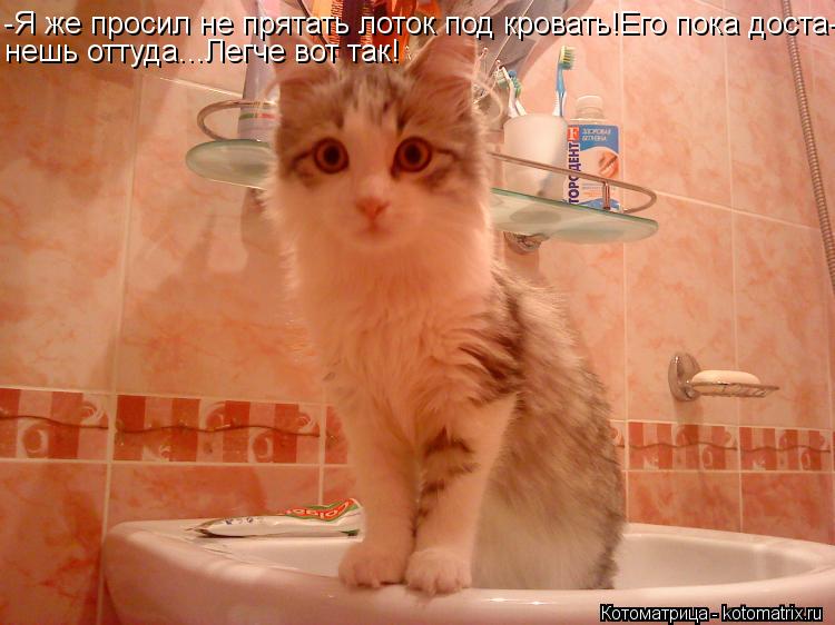 -Я же просил не прятать лоток под кровать!Его пока доста- нешь оттуда...Легче вот так!... Котоматрица: -Я же просил не прятать лоток под кровать!Его пока доста- нешь оттуда...Легче вот так!