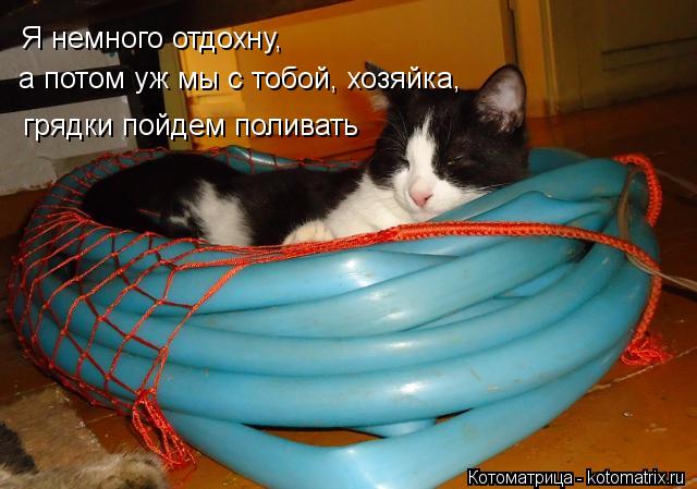 Котоматрица: Я немного отдохну, а потом уж мы с тобой, хозяйка, грядки пойдем поливать