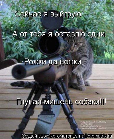 Сейчас я выйгрую А от тебя я оставлю одни Рожки да ножки, Глупая мишень собаки!!!... Котоматрица: Сейчас я выйгрую А от тебя я оставлю одни Рожки да ножки, Глупая мишень собаки!!!